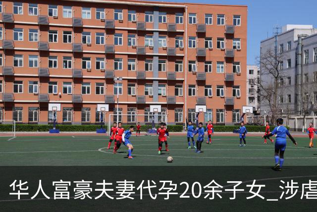 华人富豪夫妻代孕20余子女 涉虐待儿童被捕引发关注